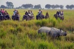 Kaziranga
